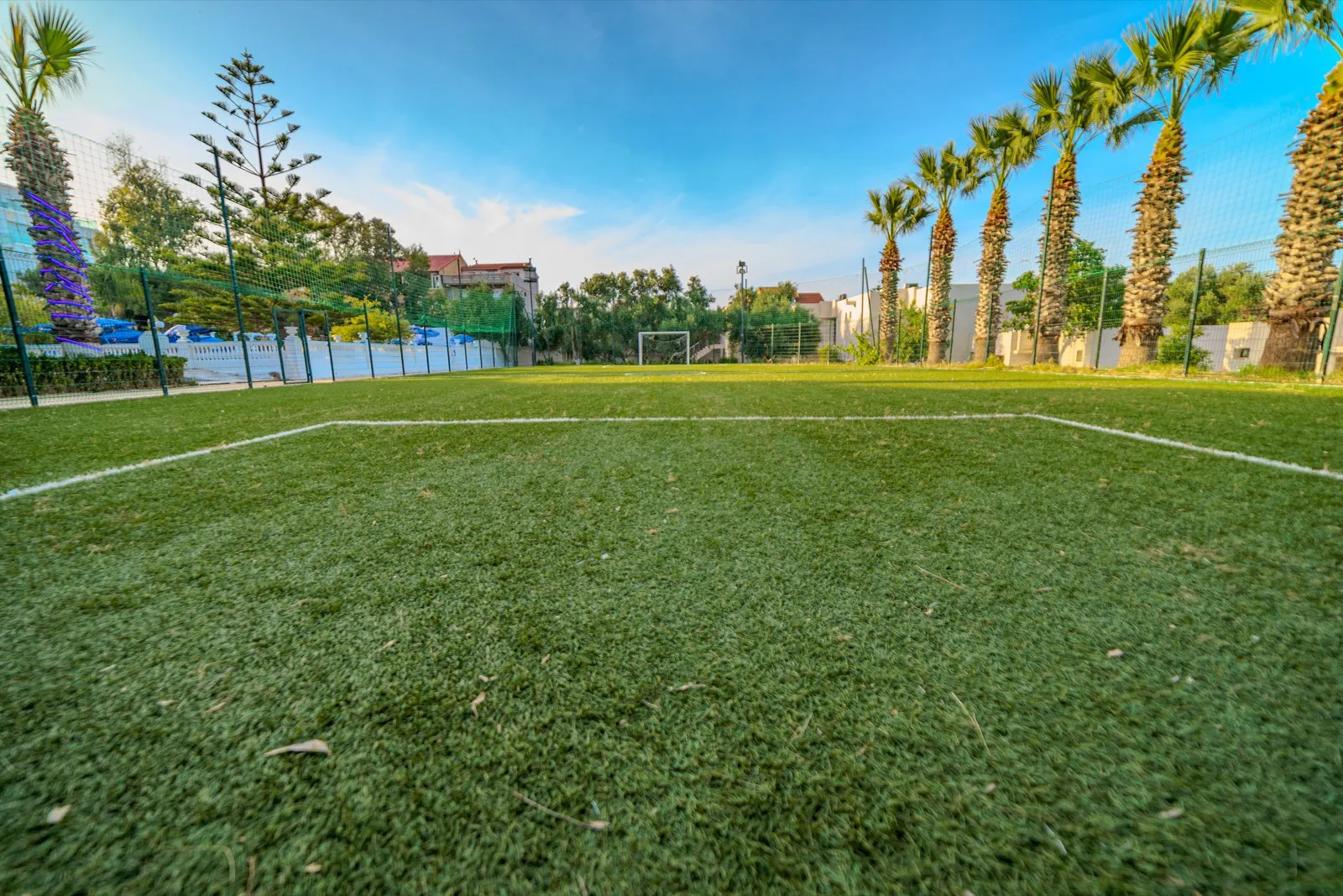 Terrain de football à 5 de l'Hôtel Raïs entouré de palmiers